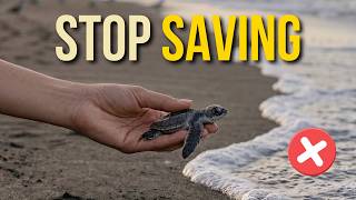 Nature's 8 MIND BLOWING facts revealed!