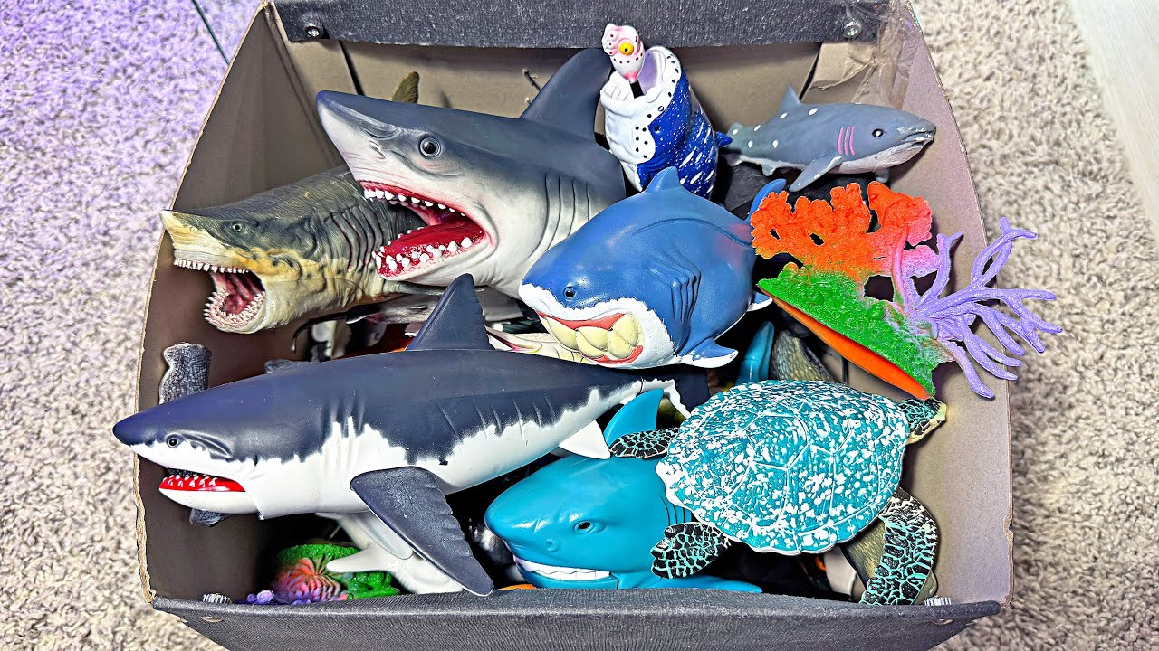 NEW SEA ANIMALS TOYS - Shark, Whale, Octopus, Whaleshark, Turtle, Great White Shark, Dolphin