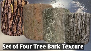 Tree Bark 4K Seamless Texture Download | Set of Four High-Quality PBR Texture Download for Free