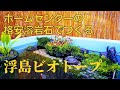 格安溶岩石でつくる浮島ビオトープ
