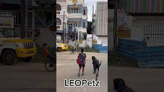 🐕🔥1 Year Great Dane Off-Leash Training | Before &amp; After Transformation in Just 10 Days #greatdane