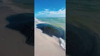 Weird Stuff Washing up on Pensacola Beach