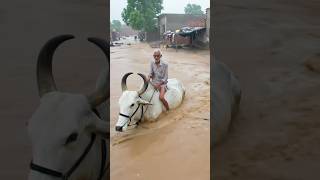 Flood In Stan