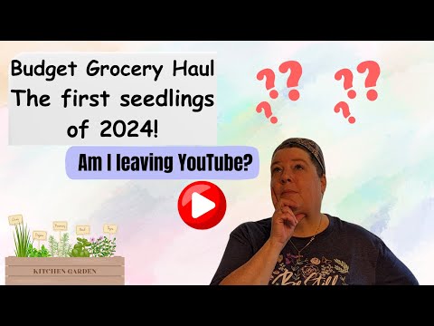 Am I leaving YouTube? Budget Grocery Haul, first seedlings of 2024 #leavingyoutube #budget #garden24