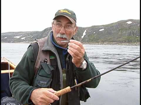 Gratuit Images Fly Fishing Humour Famous Fly Fisherman Donald Thom Youtube actualisé salutations