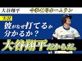 大谷翔平の41本目のホームランには実況も表現方法を失う