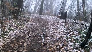 Organizator Mirnih Protestov Je Označil V Gozdu