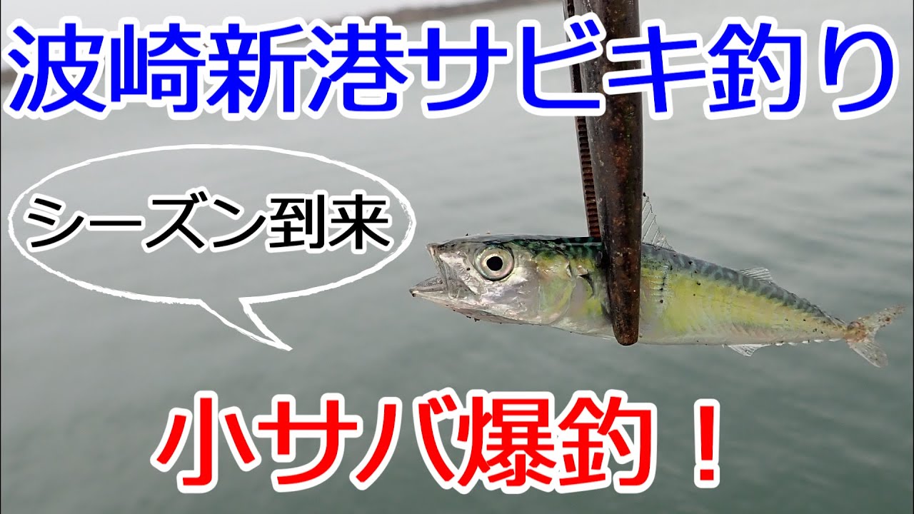 小サバ爆釣 サビキ釣り シーズン到来 21年5月 波崎新港 Youtube