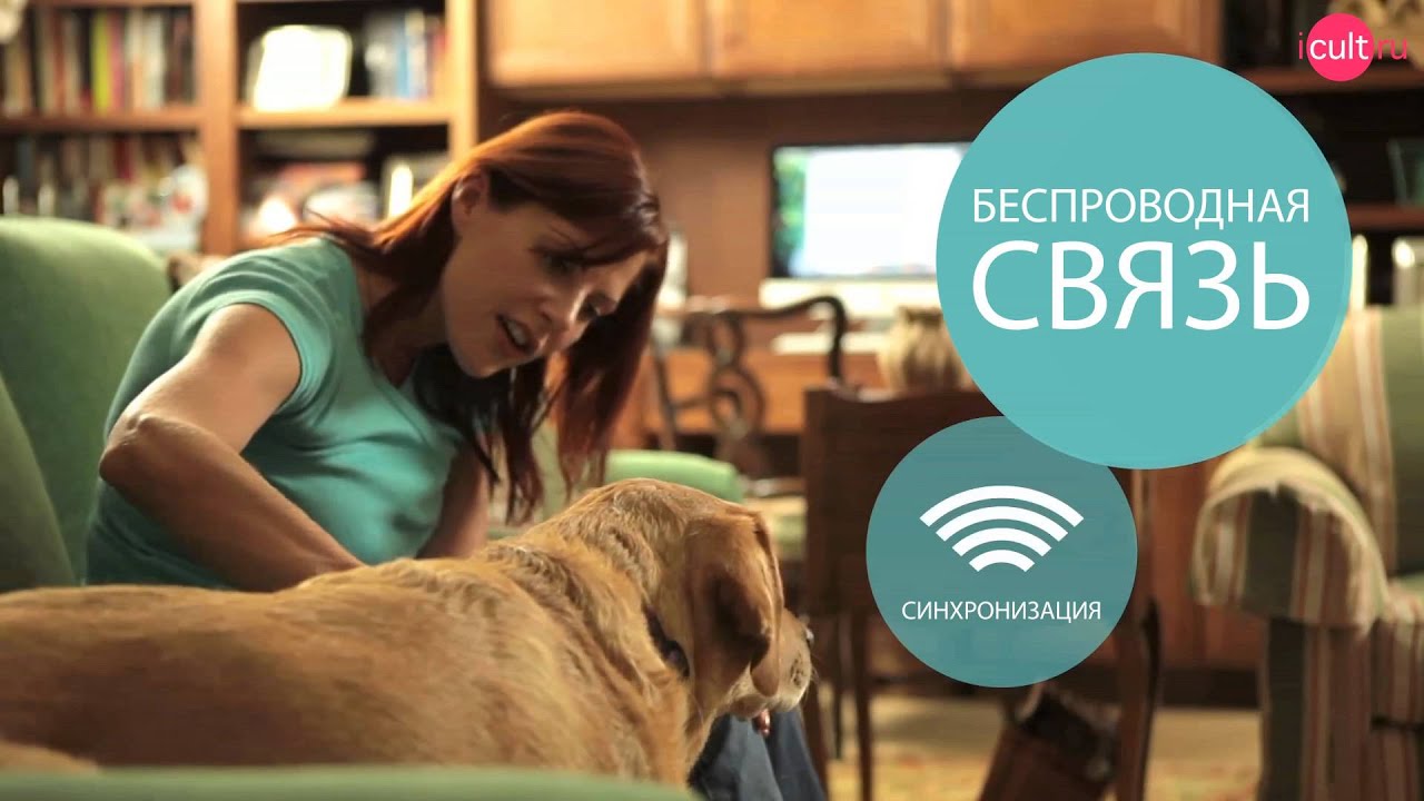 Fitbit One - Инновационный Тренер-шагомер для Вашего Смартфона