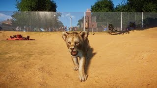 Planet Zoo - Обзор и первый взгляд! (Симулятор Зоопарка)! Planet Zoo - Обзор и первый взгляд! (Симулятор Зоопарка)!