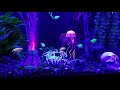 55 gallon, glofish aquarium.