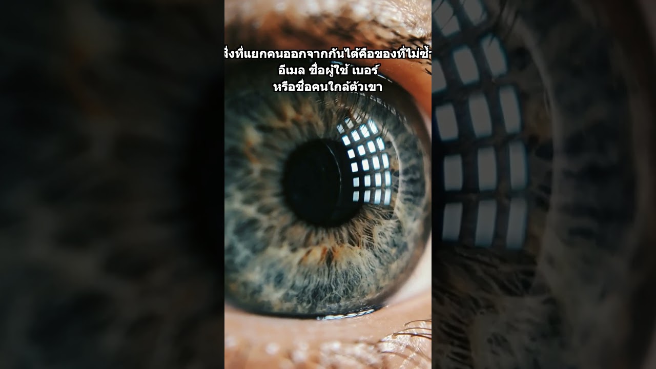 ตามหาคนที่ชื่อซ้ำกับคนเป็นพัน 🧩