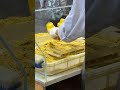 중국의 독특한 디저트 만드는 방법 녹두떡