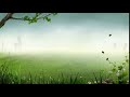 Forest background effects   effects free stock  25fps templates animation 1080p
