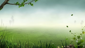 Forest Background Video Effects   Video Effects HD Free Stock  25fps video Templates Animation 1080p