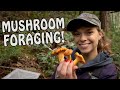 Picking Fall WILD EDIBLE MUSHROOMS in Pacific Northwest!