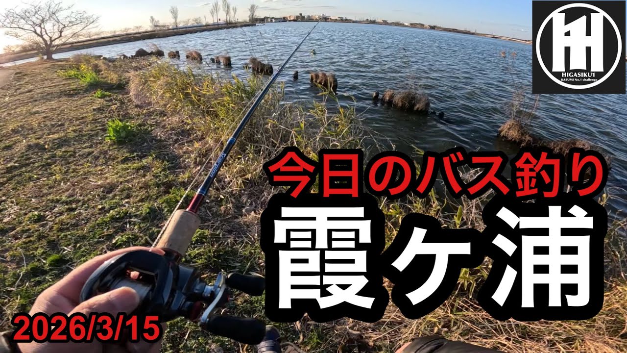 バス釣り Bass fishing at Lake Kasumigaura! Yodaura fishing trip, March 15