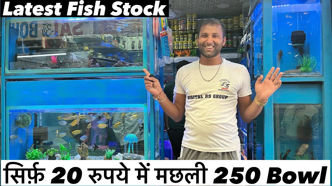 Deepak Fish Aquarium Exotic Fish Fish Shop Fish Aquarium Shop In