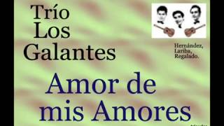 Trío Los Galantes:  Amor de mis Amores - (letra y acordes) chords