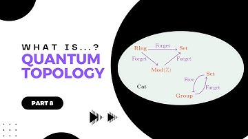 Part 8 of What is…quantum topology? | Daniel Tubbenhauer