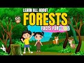 Exploring Forests