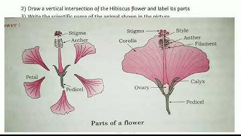 8th class | Science | Test No.3 | Activity sheet 1 to 24 | Semi English medium | Bridge Course |
