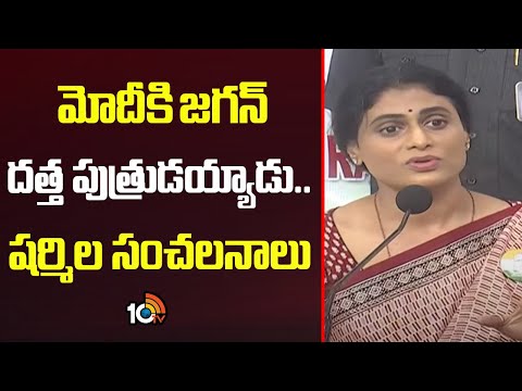 YS Sharmila Hot Comments on YS Jagan | మోదీకి జగన్ దత్త పుత్రుడయ్యాడు.. షర్మిల సంచలనాలు | 10TV News - 10TVNEWSTELUGU
