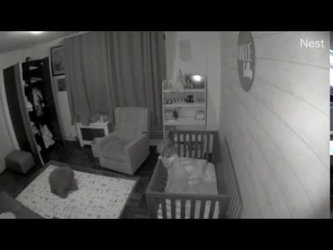 My Google Nest Camera captured my dog Prince putting my daughter back to bed at 5:30 AM