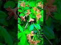 ولاقيك مشغول وشاغلني فيك