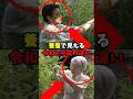 令和と平成、養蚕から見える違い　#皇室 #ニュース #雑学　#天皇陛下 #雅子さま #美智子さま