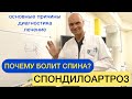 ПОЧЕМУ БОЛИТ СПИНА? СПОНДИЛОАРТРОЗ: причины боли в спине, диагностика и лечение.