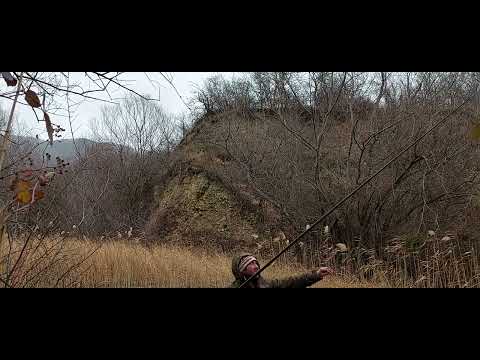 თევზაობა ქაშაპზე გვერდულა ქანქარანძრევიათი.