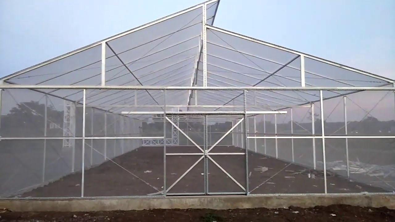  GREEN  HOUSE  HIDROPONIK SUDAH JADI YouTube