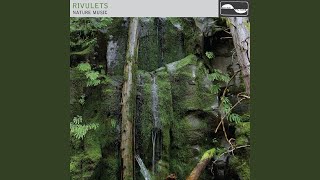 Rivulet 2