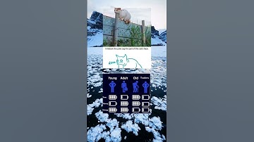 Some won’t get it until it’s too late