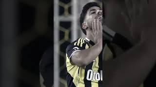 #fenerbahçe #football #colonelkkjϟ #fenerbahce