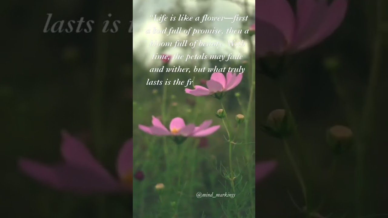 BLOOM LIKE A FLOWER, LEAVE A FRAGRANCE BEHIND 🌸