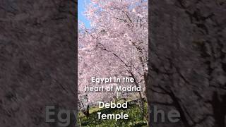 Egyptian Temple In Madrid Templo De Debod De Debod Temple