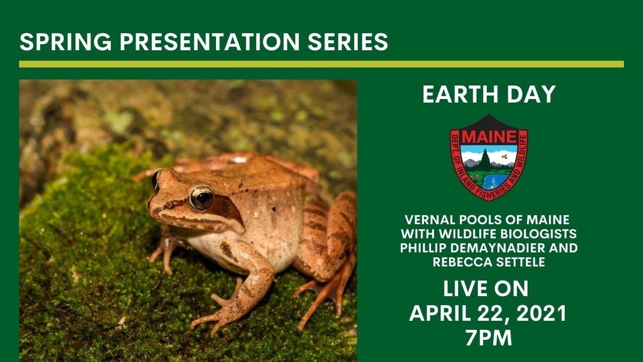 Vernal Pools of Maine