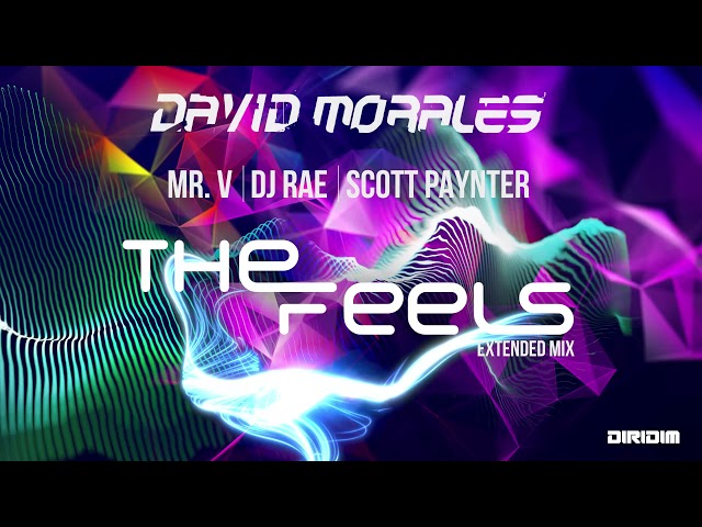 David Morales, Mr. V, DJ Rae, Scott Paynter - The Feels