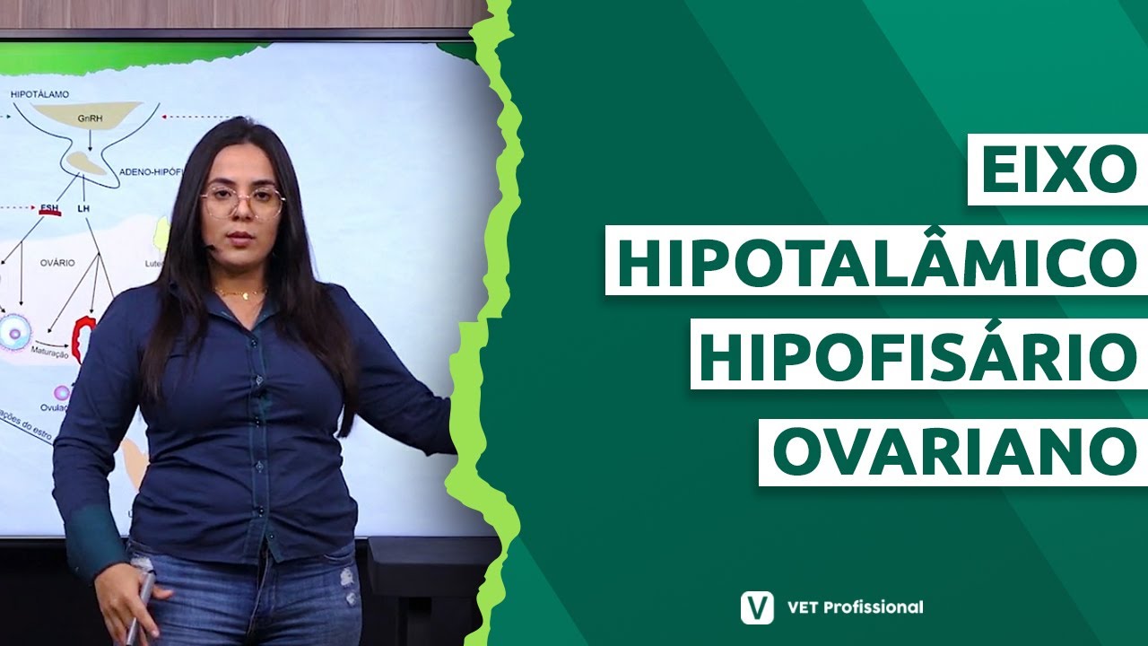 REPRODUÇÃO ANIMAL: Eixo Hipotalâmico Hipofisário Ovariano em Pequenos Ruminantes