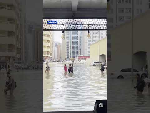 People wade through flooded streets to shop in Dubai after heavy rains hit UAE