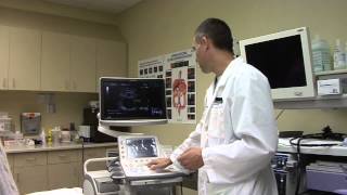 Gastroenterology