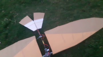 #Ornithopter  2 meter #wingspan
