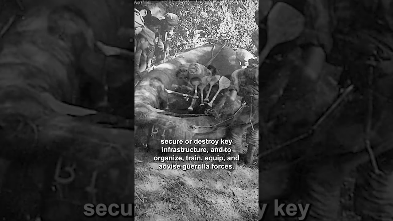 OSS Operational Groups During WWII