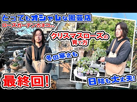 Final Episode] 🌼A very stylish gardening store🌼Let's grow