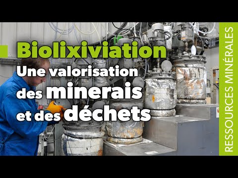Biolixiviation : une valorisation des minerais et des dchets