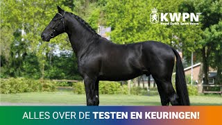 Alles Over De Testenkeuringen Van Het Kwpn