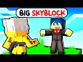 L'EPISODIO che CAMBIERÁ TUTTO... - Minecraft BIG SKYBLOCK Ep.5