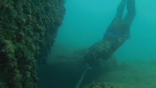 Подводная охота на горбыля. Крым 2021. Черное море.